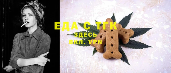 СК Алексин