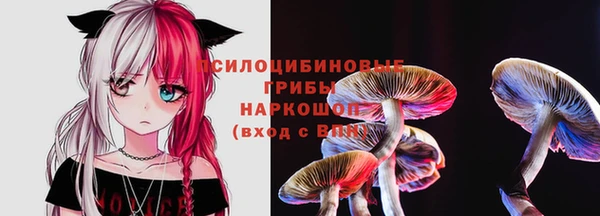 сатива Алзамай