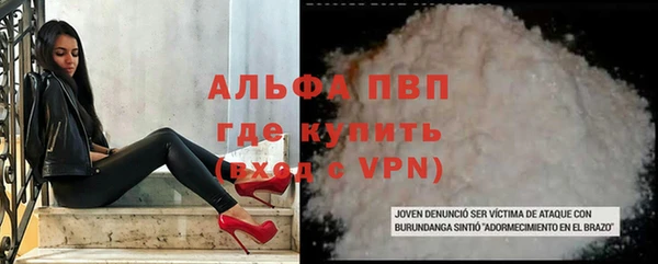 СК Алексин