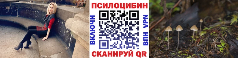 где можно купить   Грайворон  Галлюциногенные грибы ЛСД 