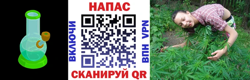 Каннабис конопля  площадка какой сайт  Грайворон  OMG ссылки 